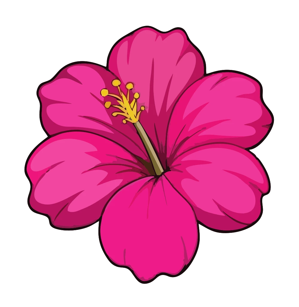 Flor Rosa