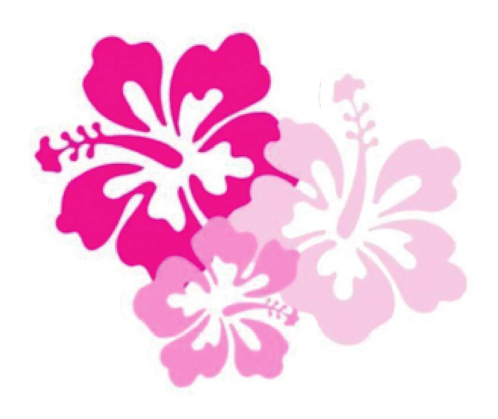 Flores Rosas