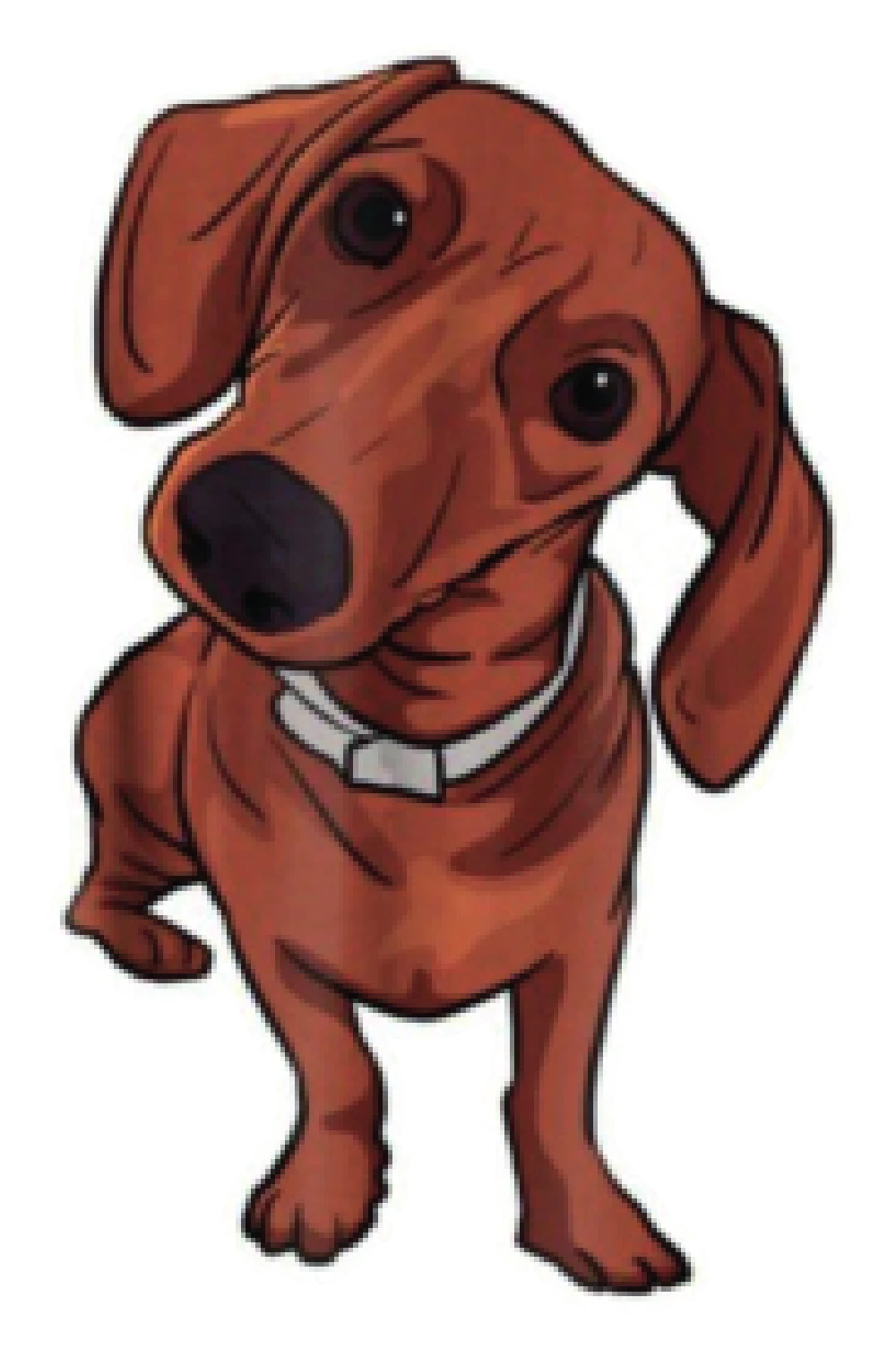 Perro Salchicha